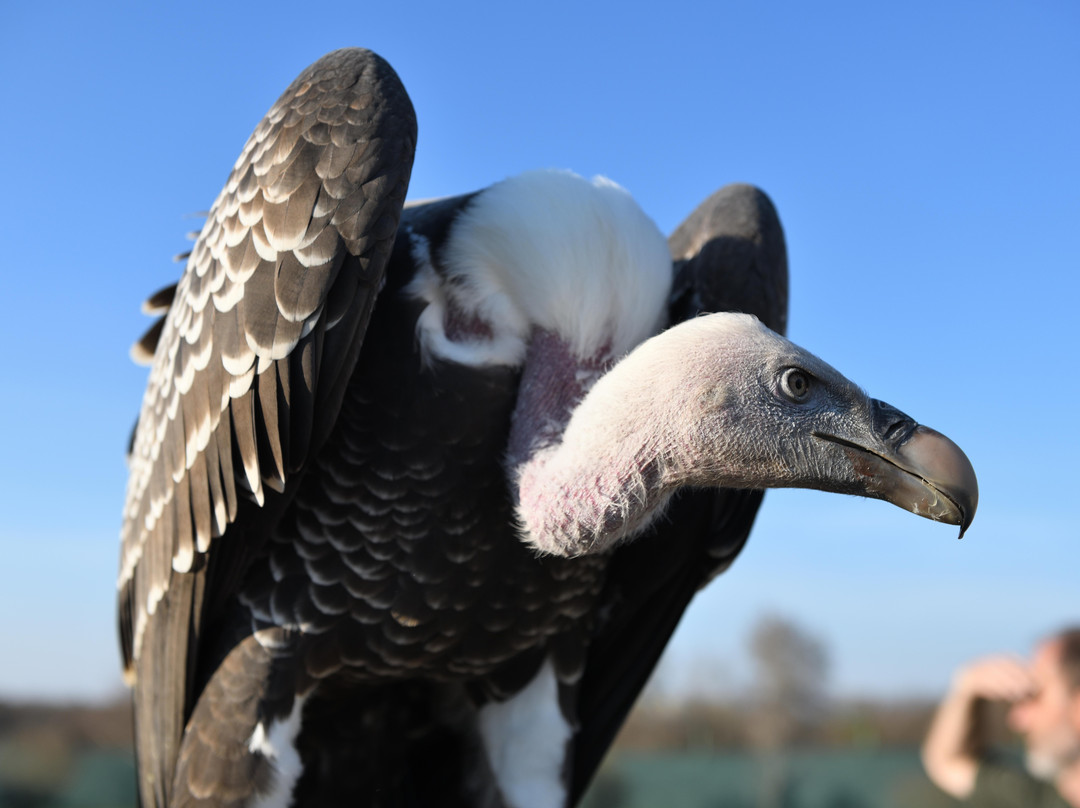 Penthea.org-布拉格必去景点