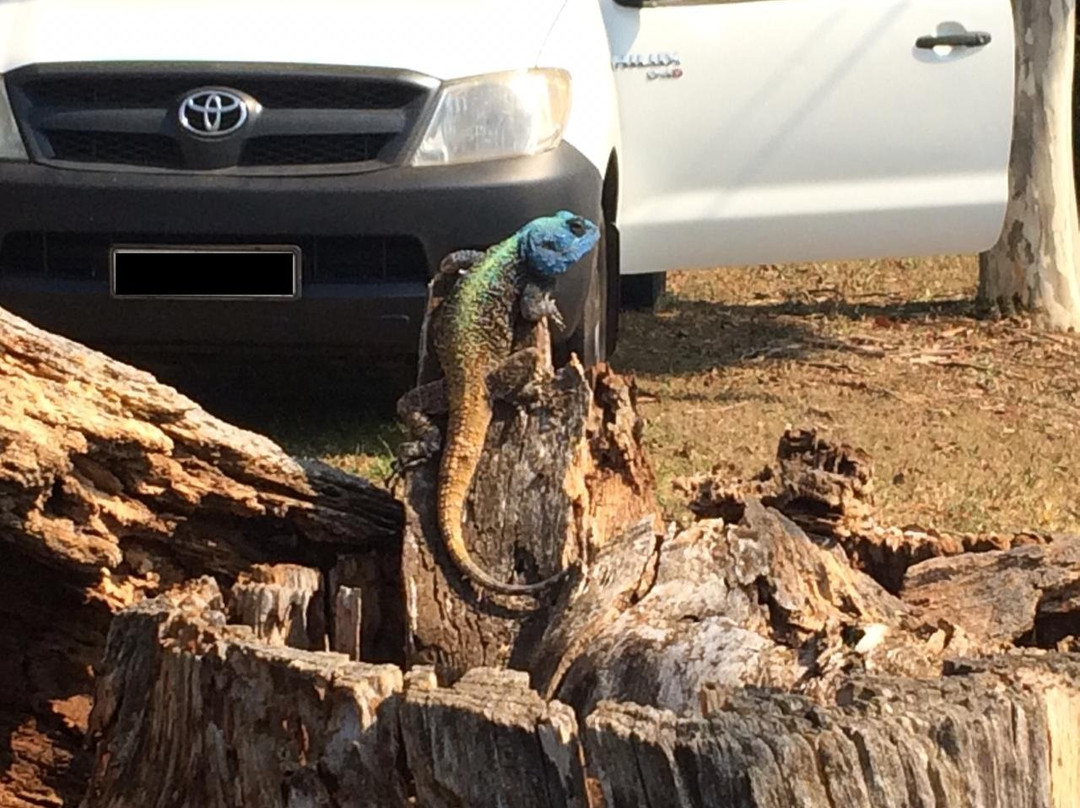 Grassroots Bed And Breakfast主图