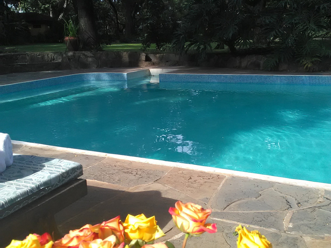 河边树乡村酒店主图