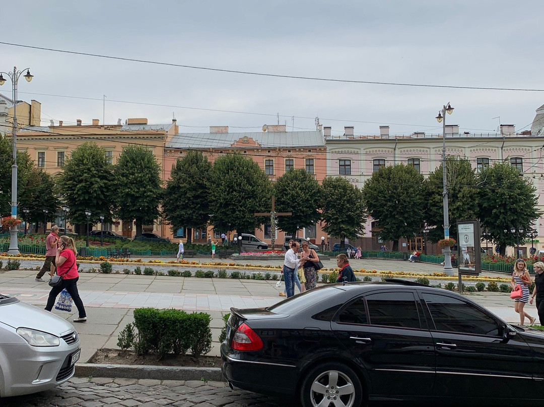 Chernivtsi City Hall景点图片