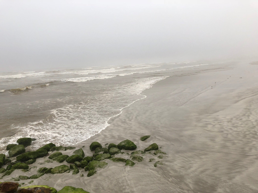 Oman Day Tours-塞拉莱必去景点