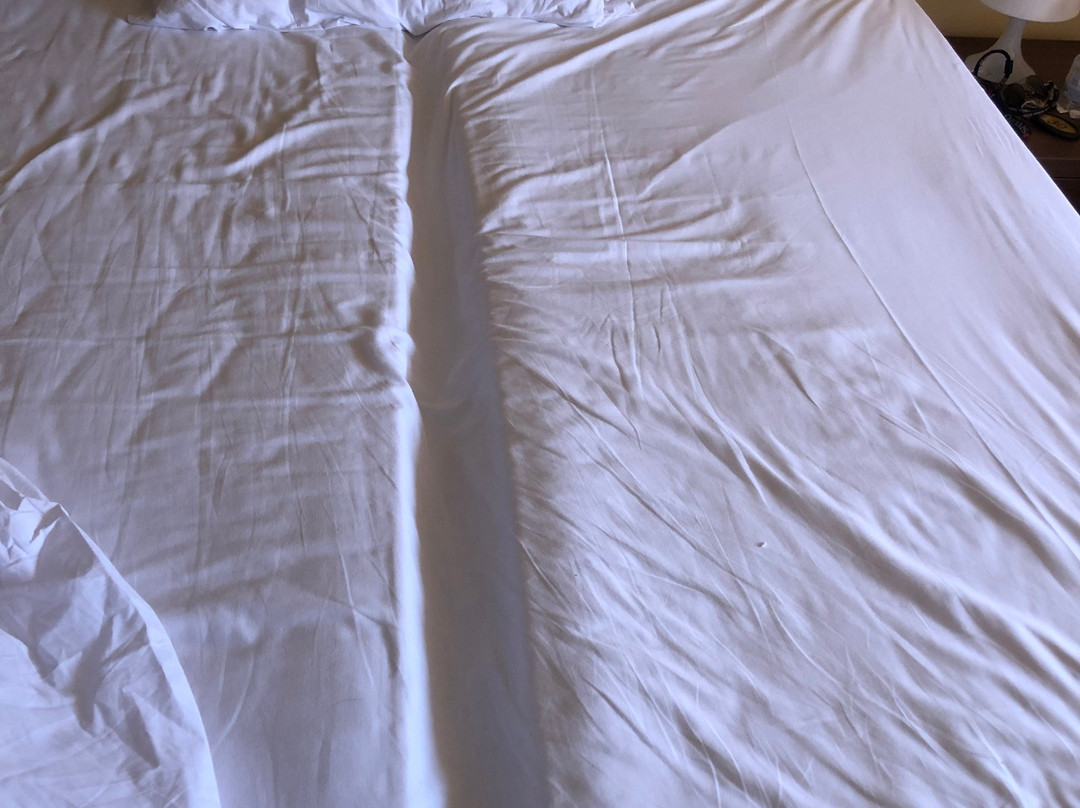 蒙特卡洛酒店