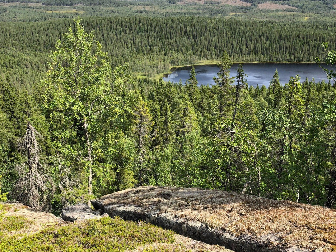 Pure Lapland - Tours景点图片