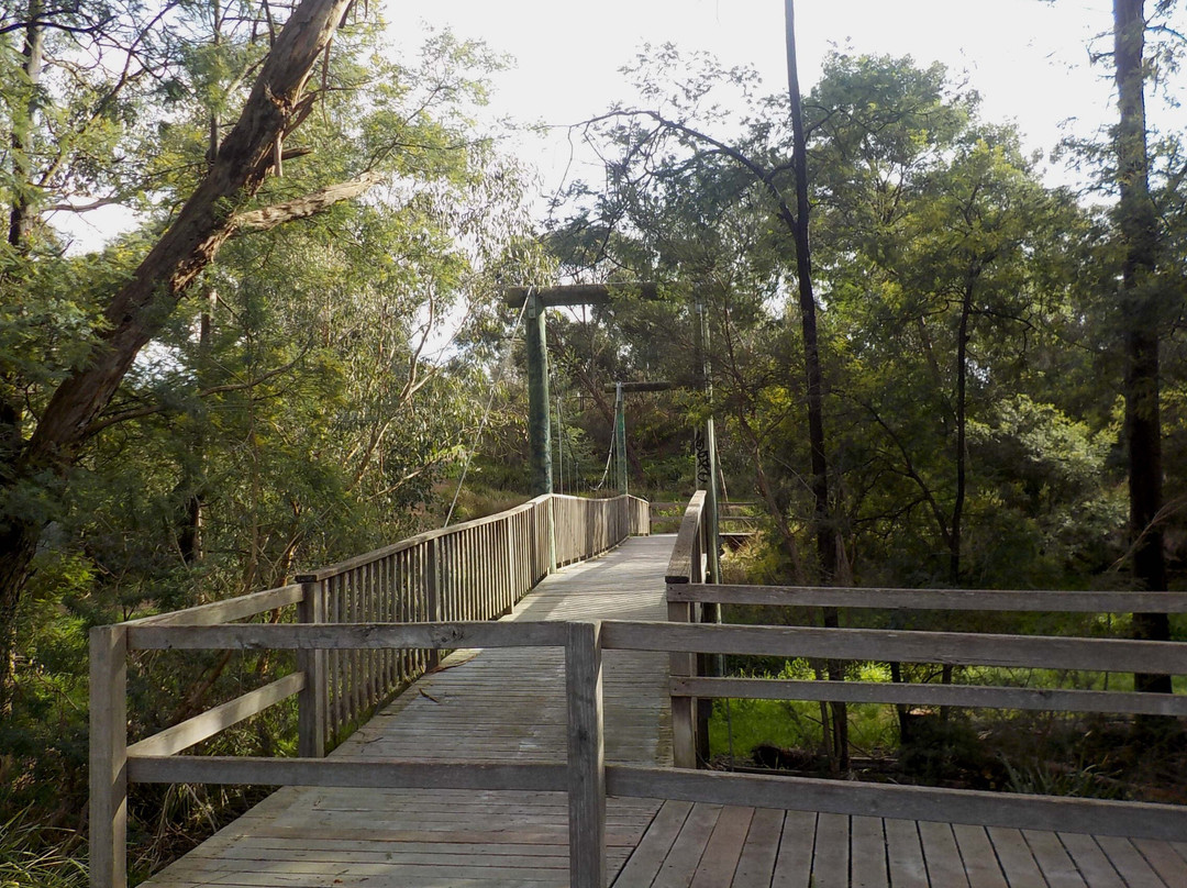 Mullum Mullum Creek Trail景点图片