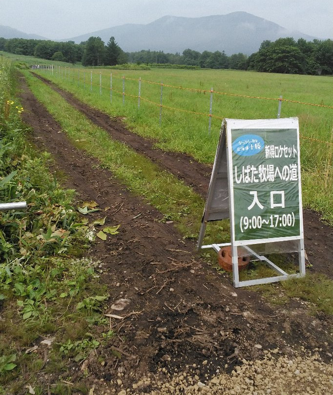 Shibata Bokujoeno Michi-新得町必去景点