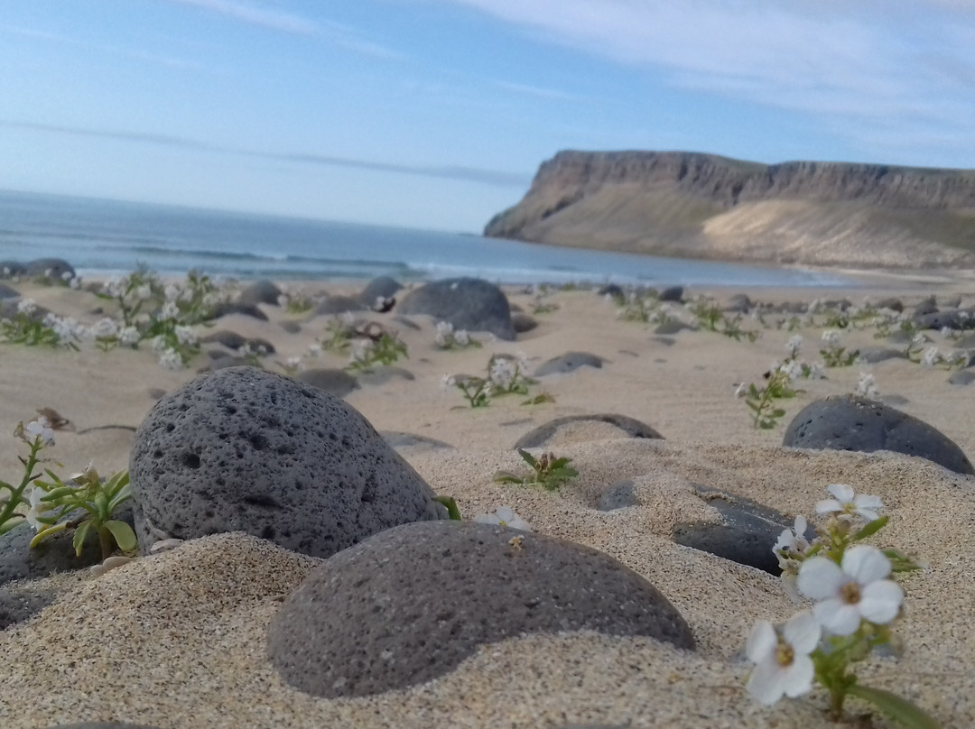 Hotel Breidavik主图