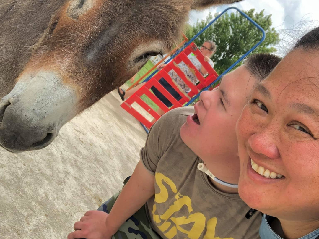 Green Meadows Petting Farm-Waterford必去景点