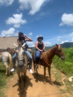 Sunny Vinales Tour-维纳勒斯必去景点