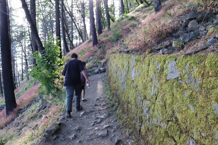 Ponytail Falls-Cascade Locks必去景点