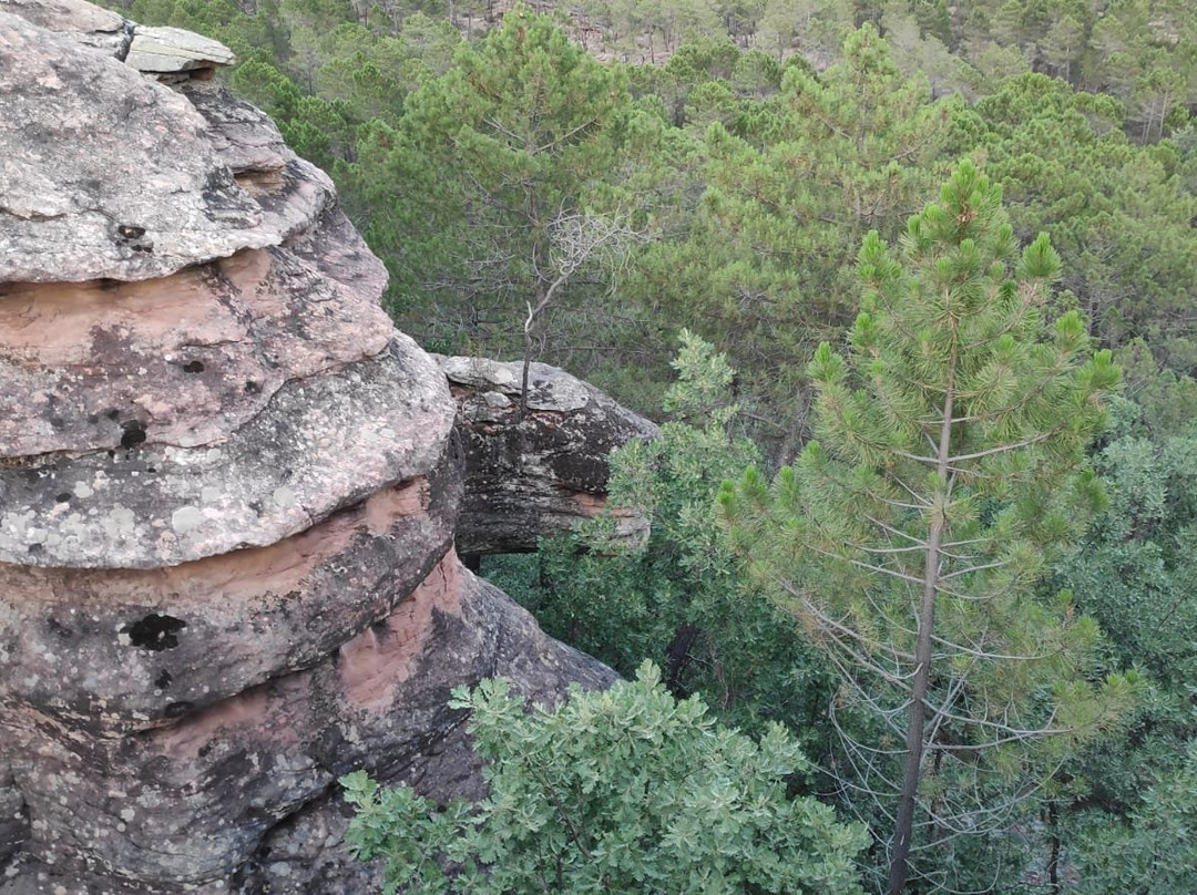 Selva Pascuala景点图片