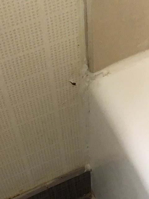 Hotel Silver Spring主图