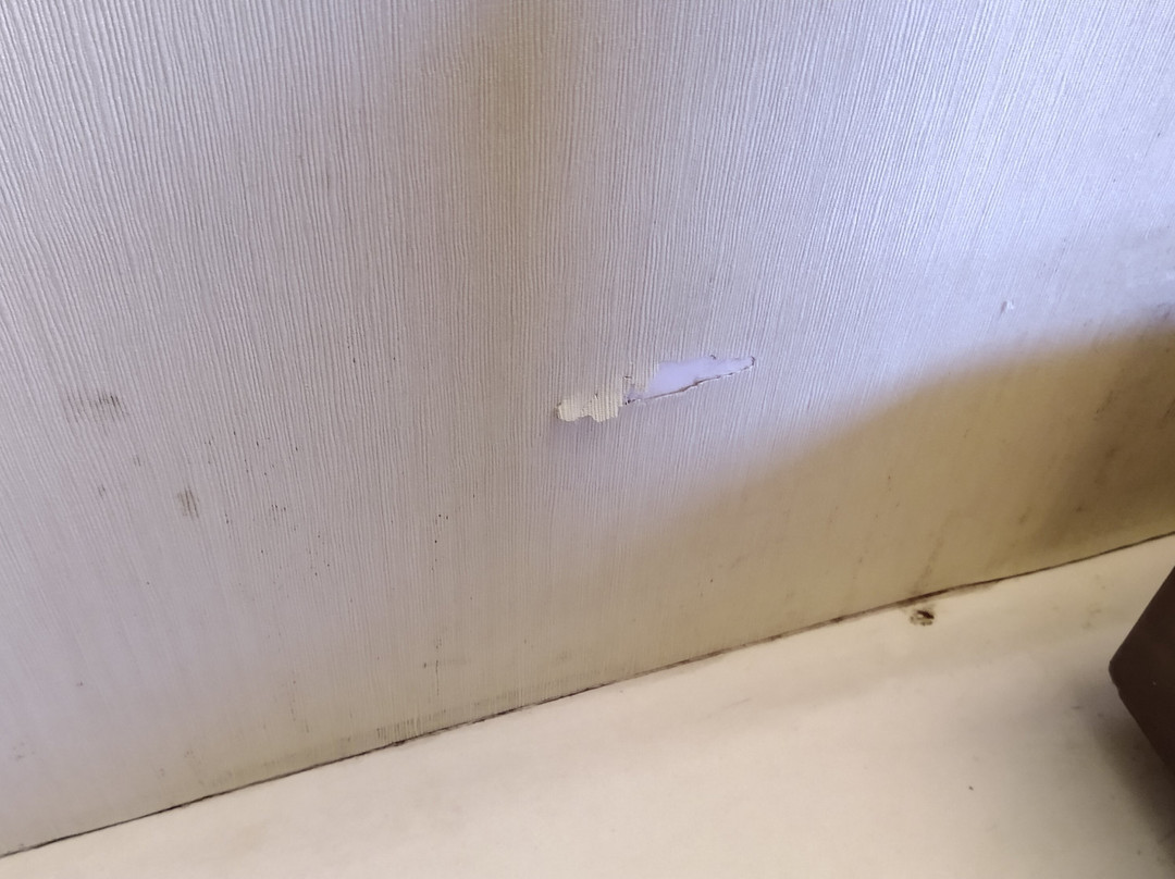 Quality Hotel DV Manor主图