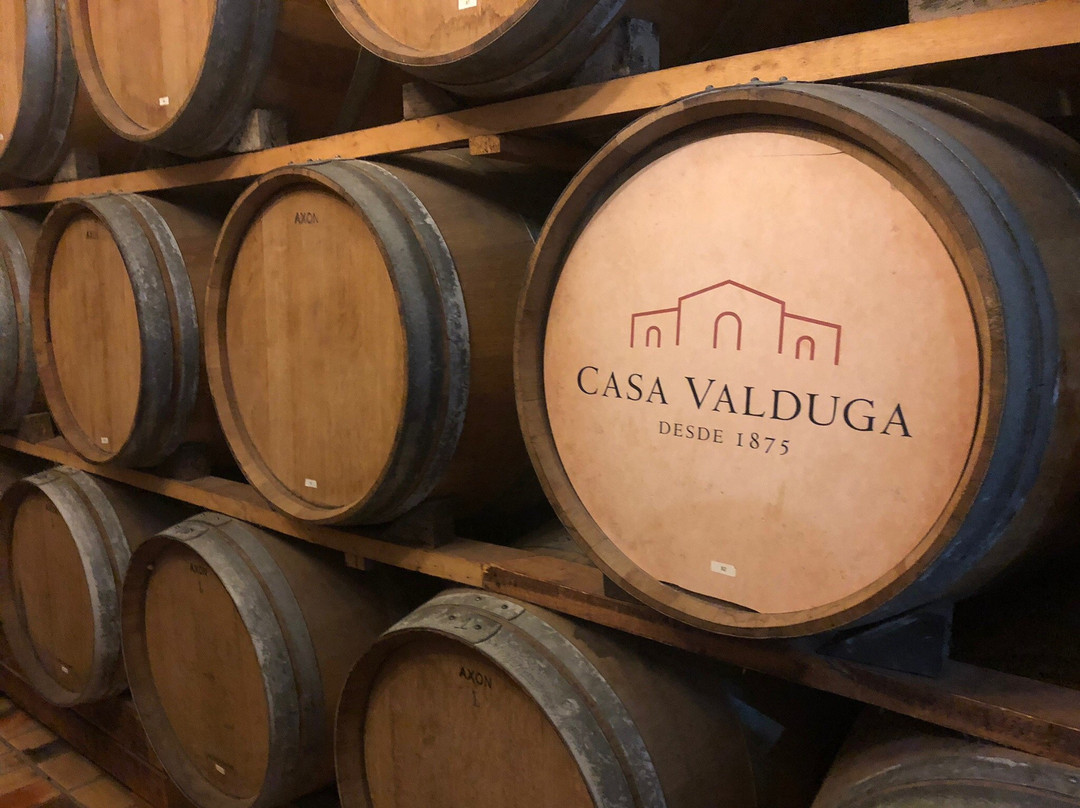 Casa Valduga Winery景点图片