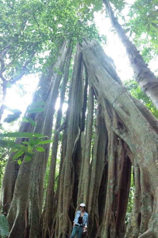 Mon Da than Waterfall-清迈必去景点