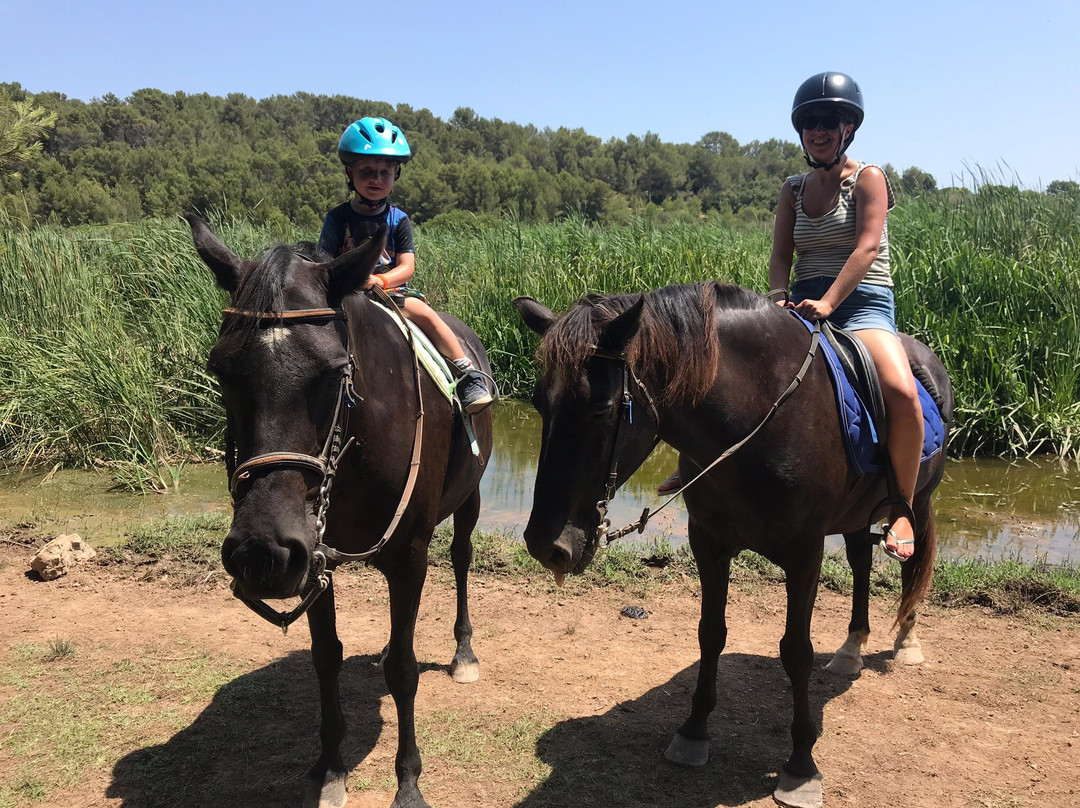 Son Bou Rutas A Caballo-阿拉约尔必去景点