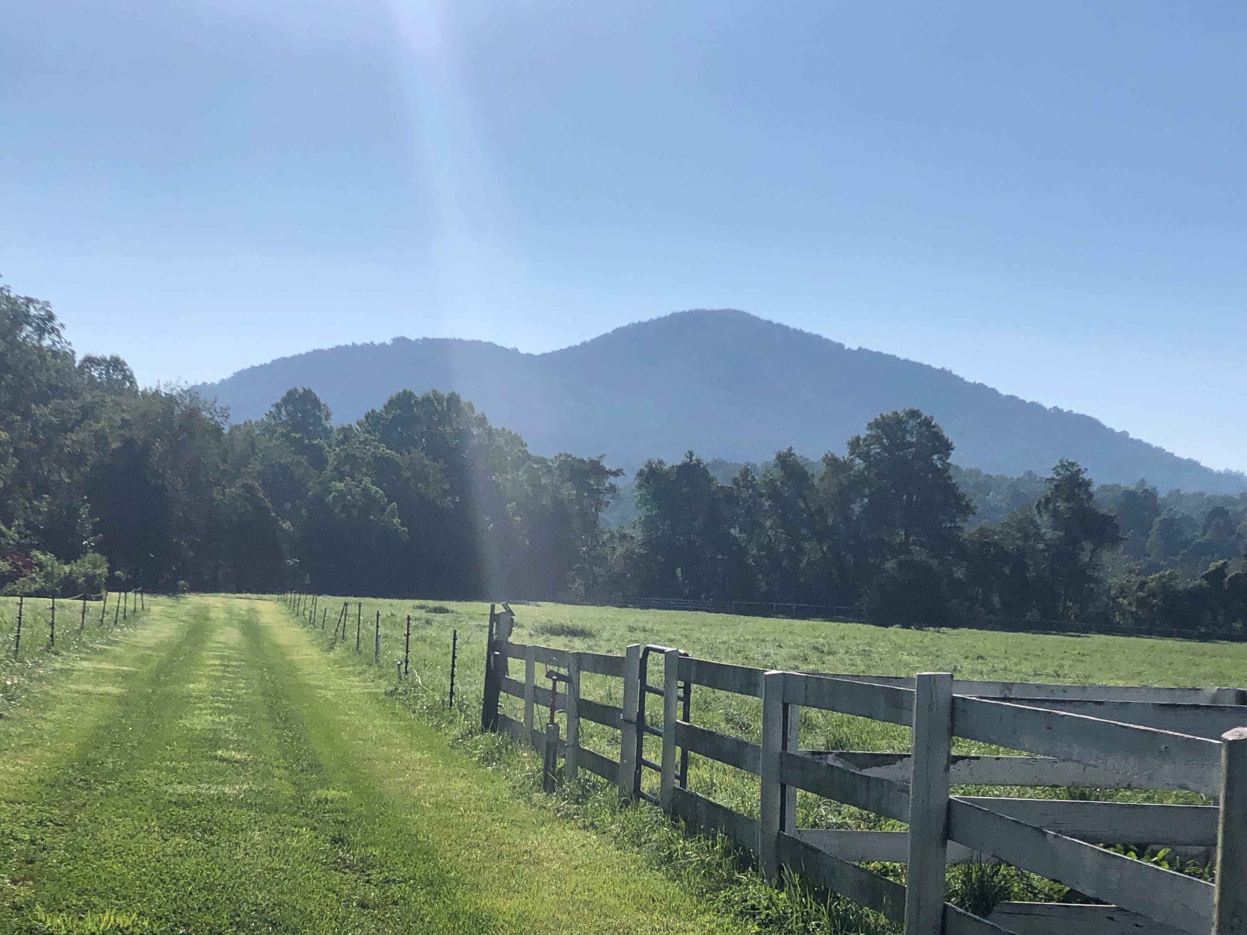 Nellysford Country Inn-浴室