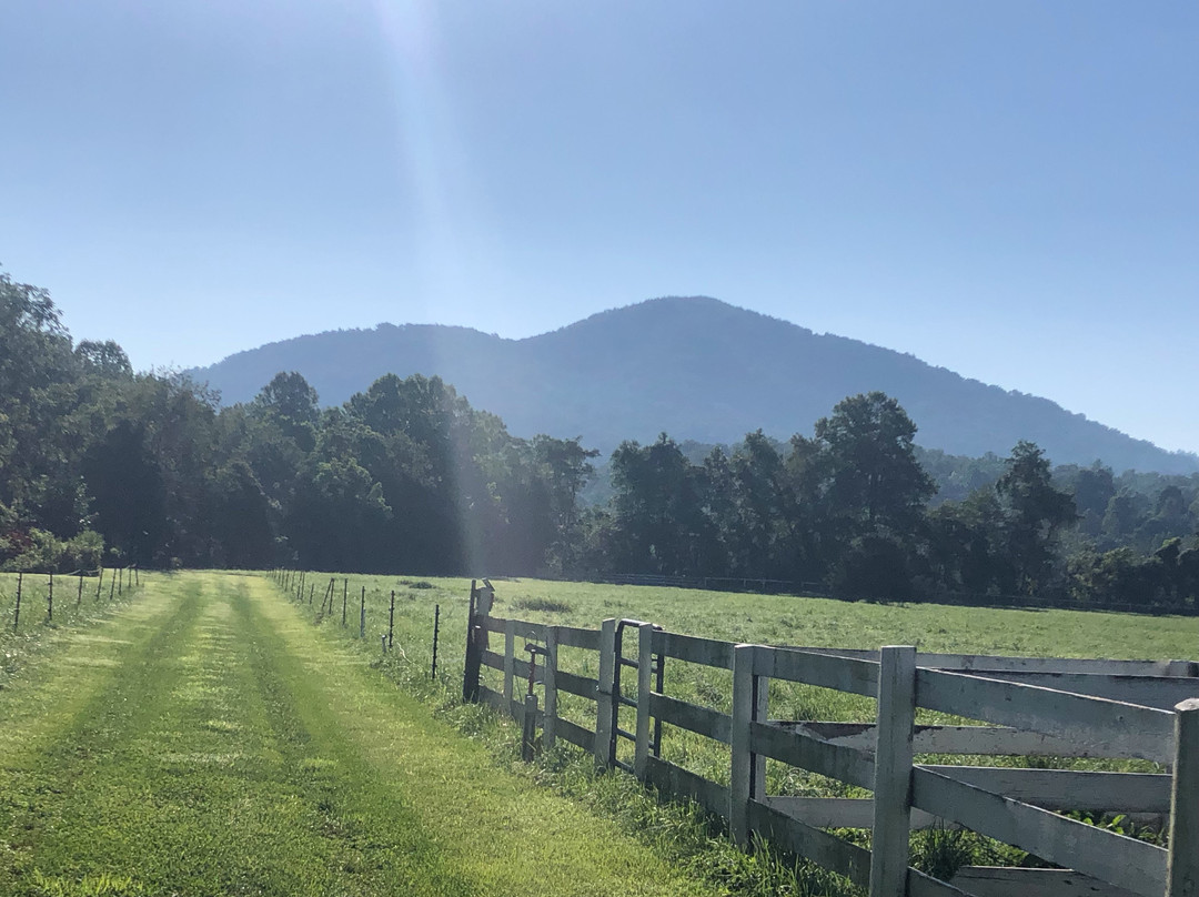 Nellysford Country Inn主图