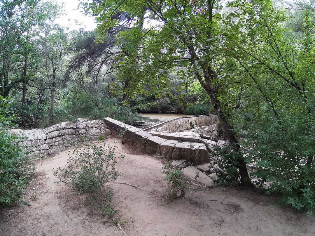 Les Gorges du Caramy景点图片