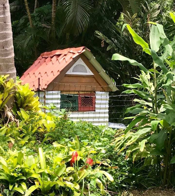 Luquillo Mountain Range景点图片