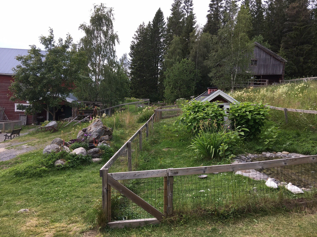 Kallarbackens Saga-Ornskoldsvik必去景点