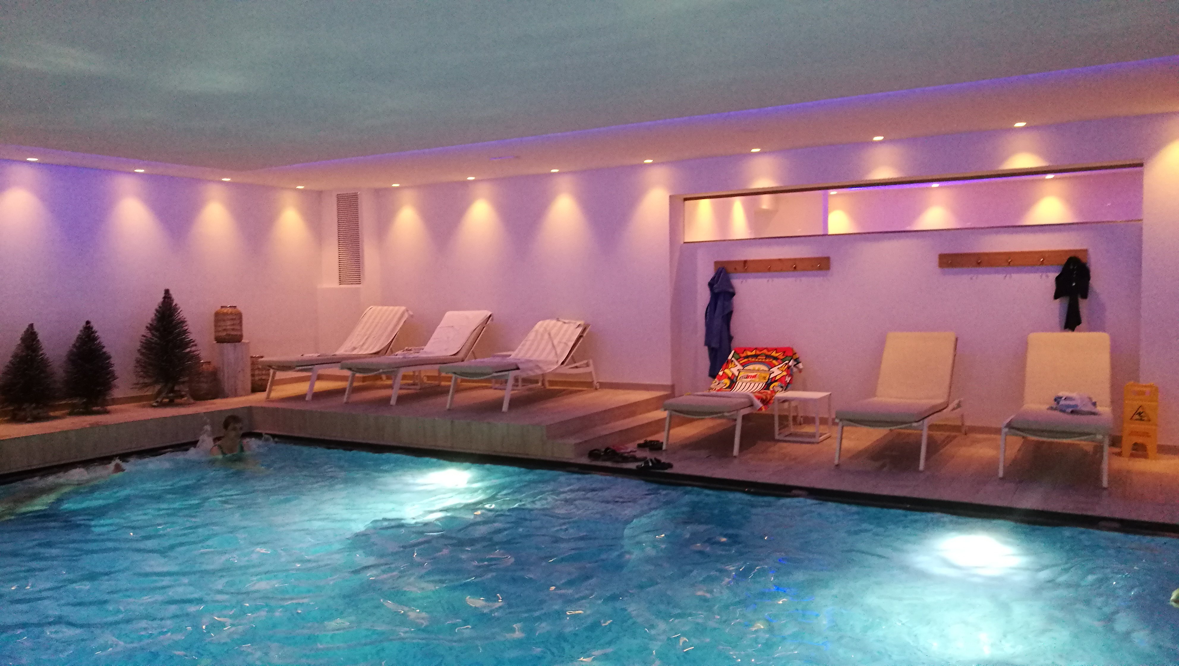 Parkhotel Schachen-泳池