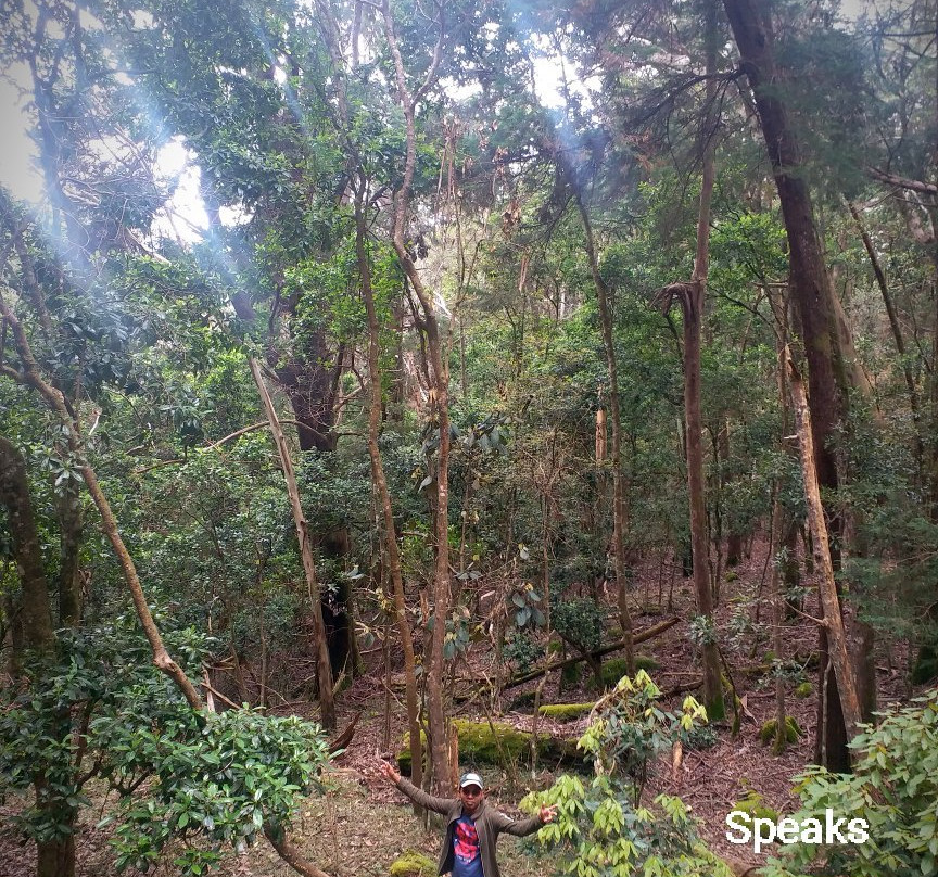 Hiking Bambarakanda to Horton Plains-Ohiya必去景点