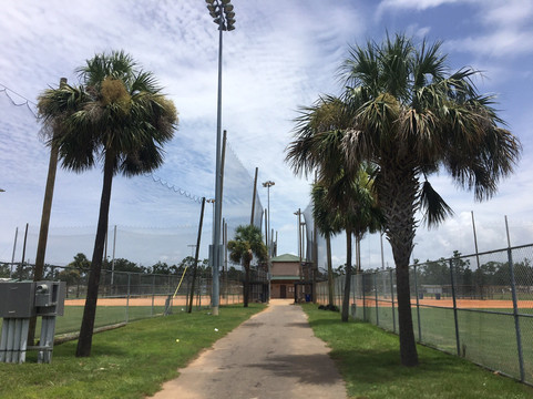 Oakland Terrace Park-巴拿马城必去景点