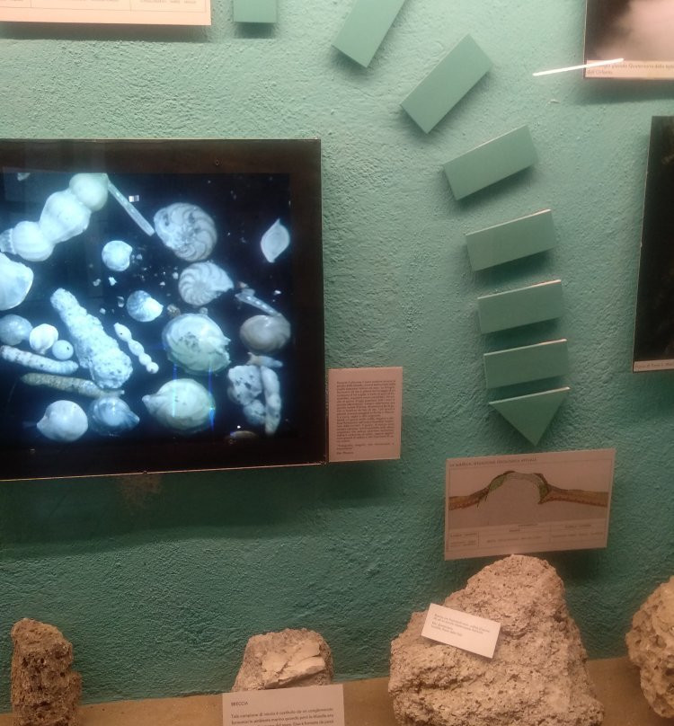 Museo Naturalistico ed Archeologico "Paolo Barrasso"景点图片