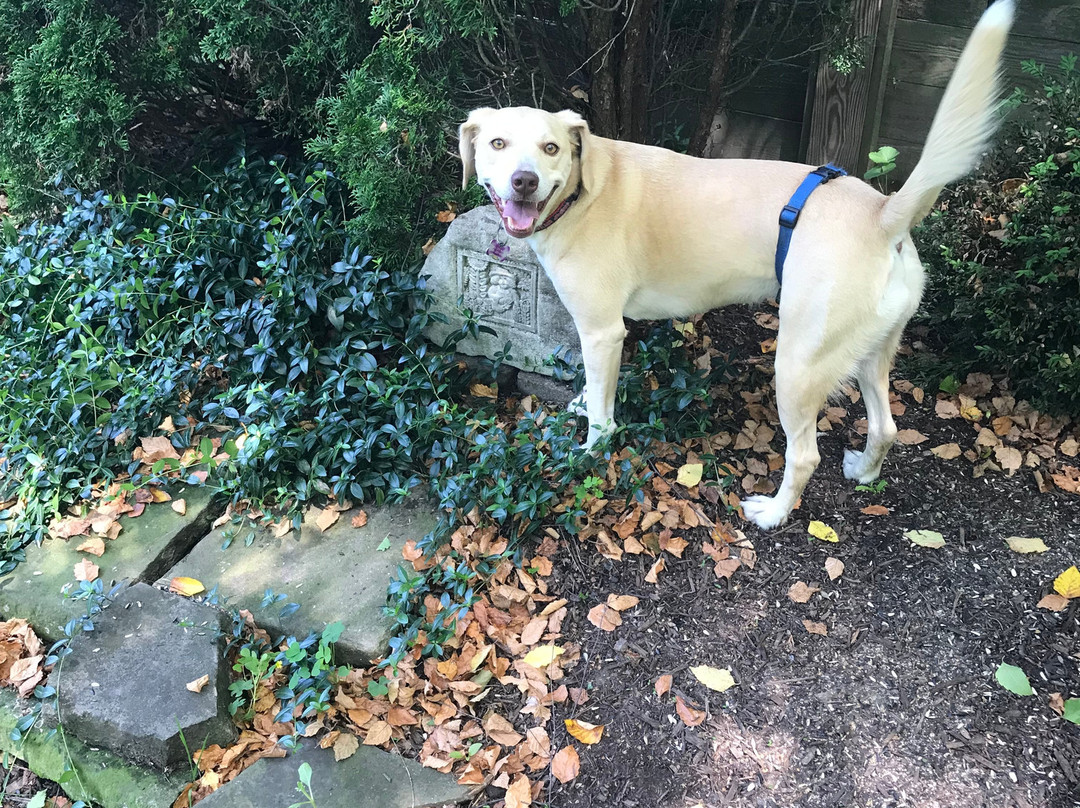 The West Woods-Novelty必去景点