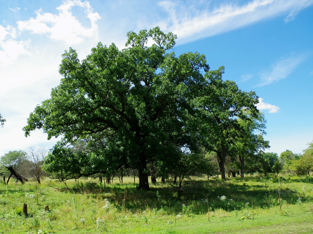 Land of the Swamp White Oak Preserve景点图片