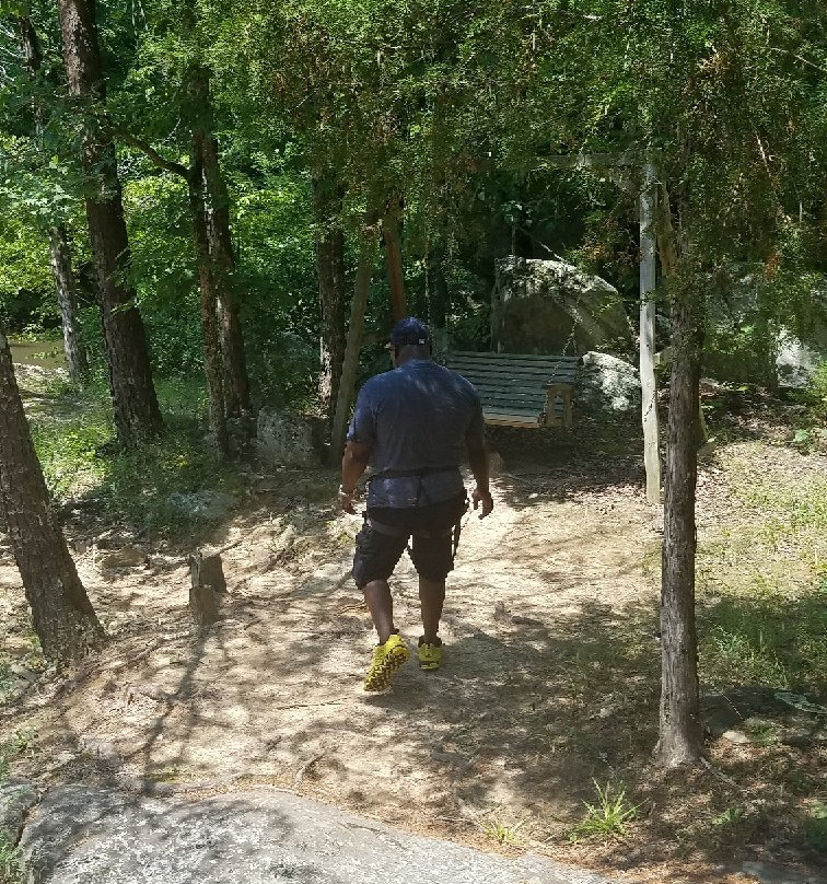 Richland Creek Canopy Tours景点图片