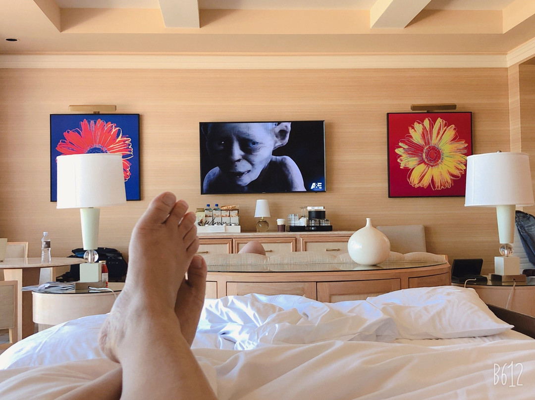 拉斯维加斯永利酒店主图