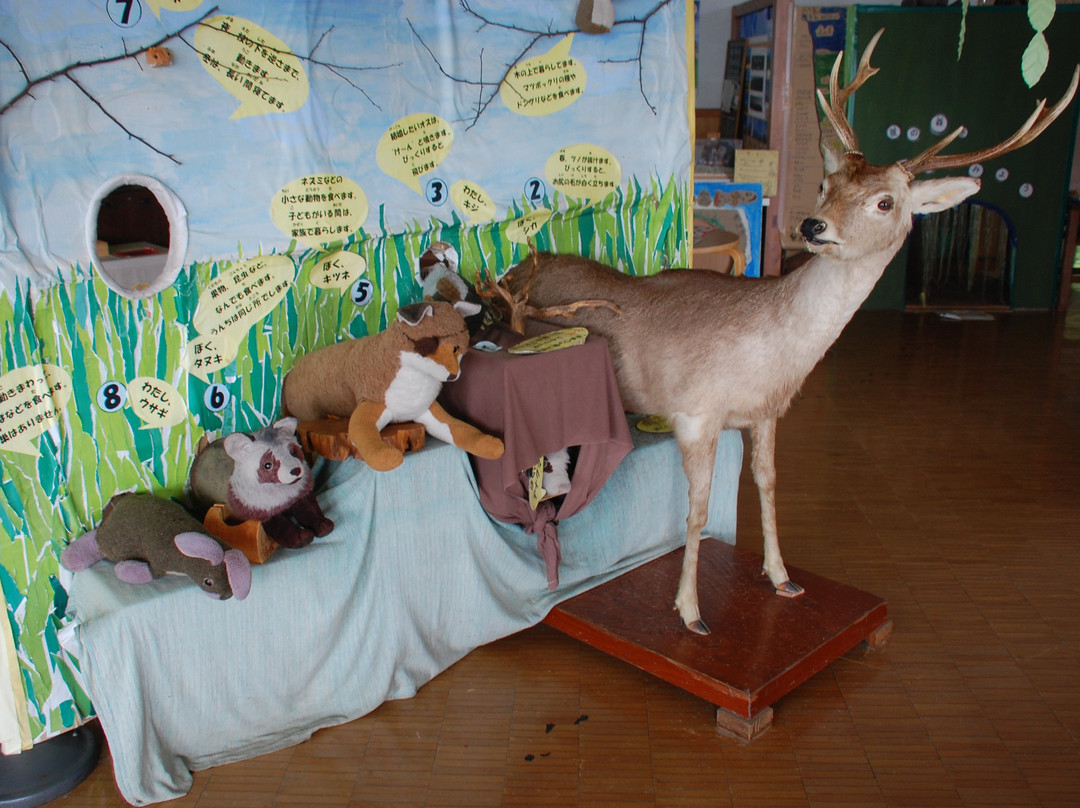 Yamanashi Prefectural Yatsugatake Shizen Fureai Center-北斗市必去景点