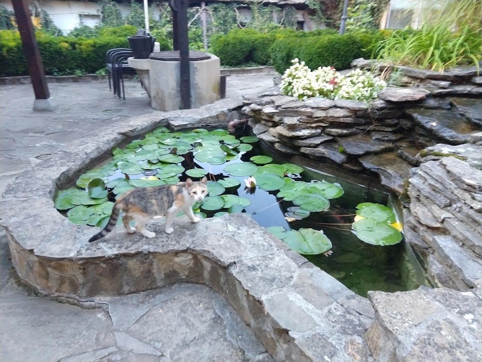 Family Hotel Fenerite-浴室