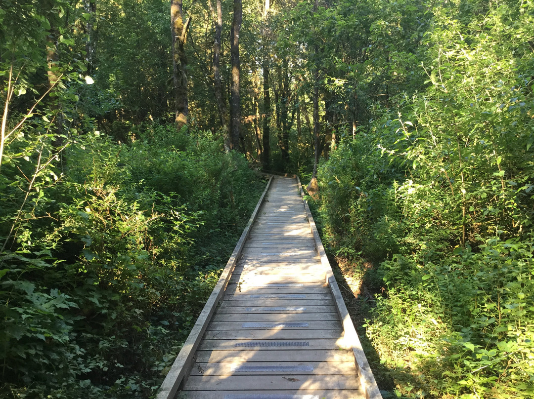 Spirit Trail Walk-哈里逊温泉必去景点