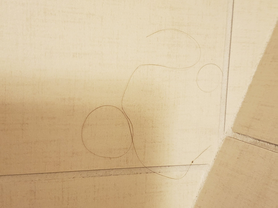 SpringHill Suites by Marriott Centreville Chantilly主图