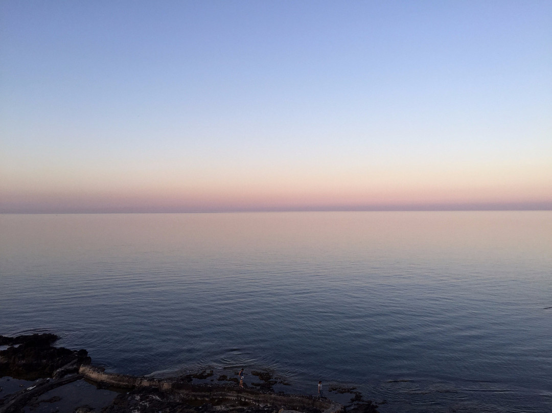 Arkin Palm Beach Hotel主图