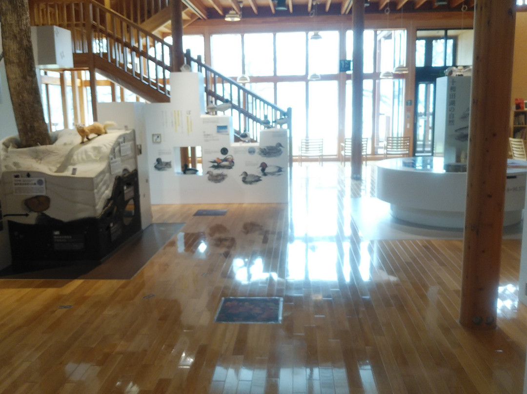 Towada Visitor Center-十和田市必去景点