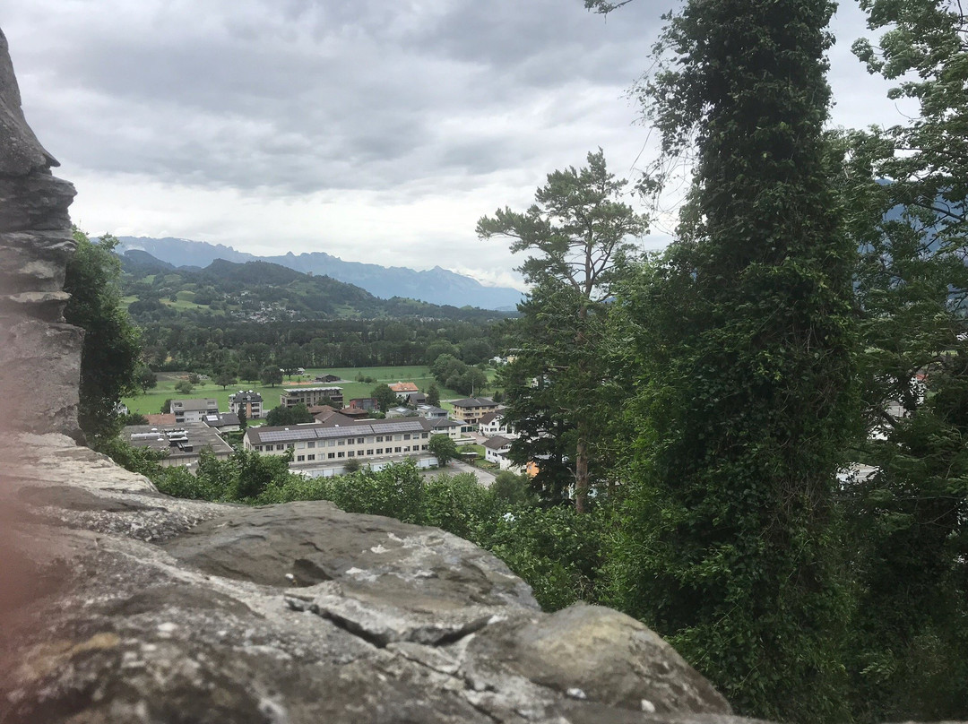 Burg Gutenberg景点图片