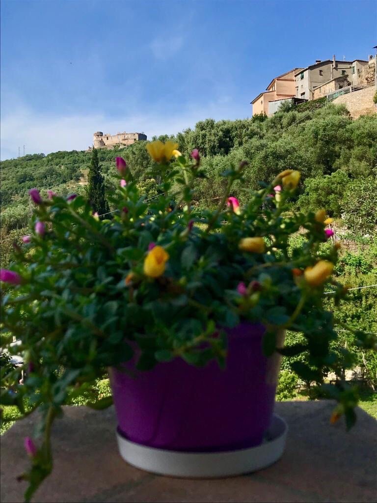 B&B L'Allegra Brigata-官方