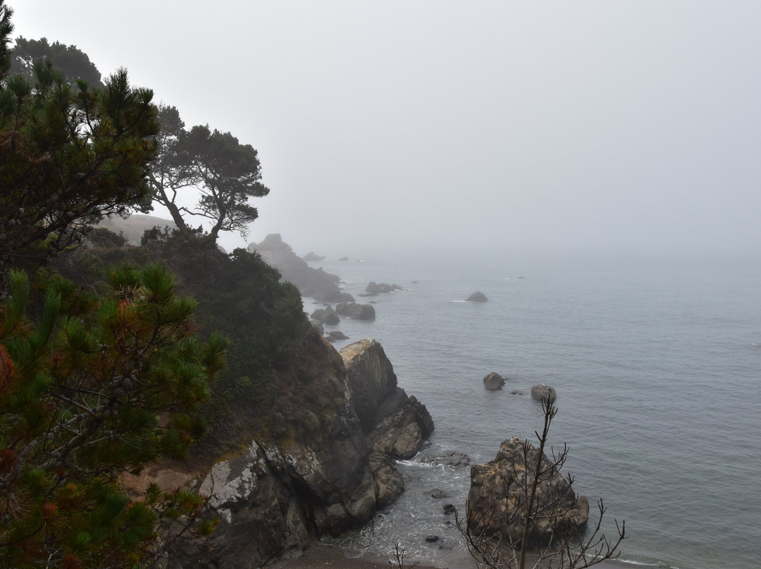 Gualala Point Regional Park景点图片