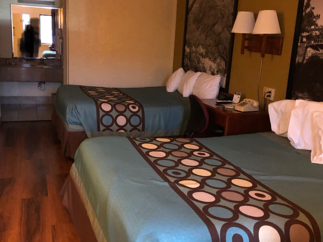 Super 8 by Wyndham Santee主图