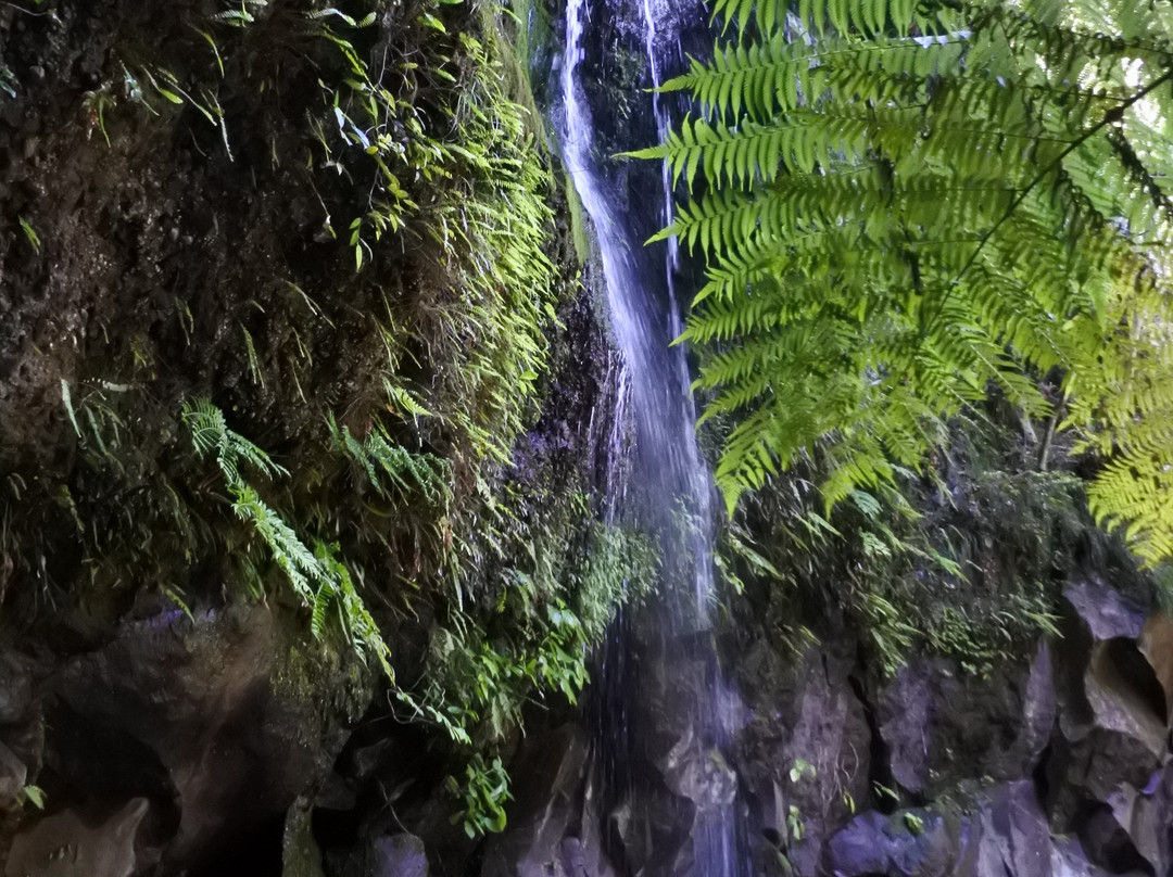 Uramiga Falls-八丈町必去景点