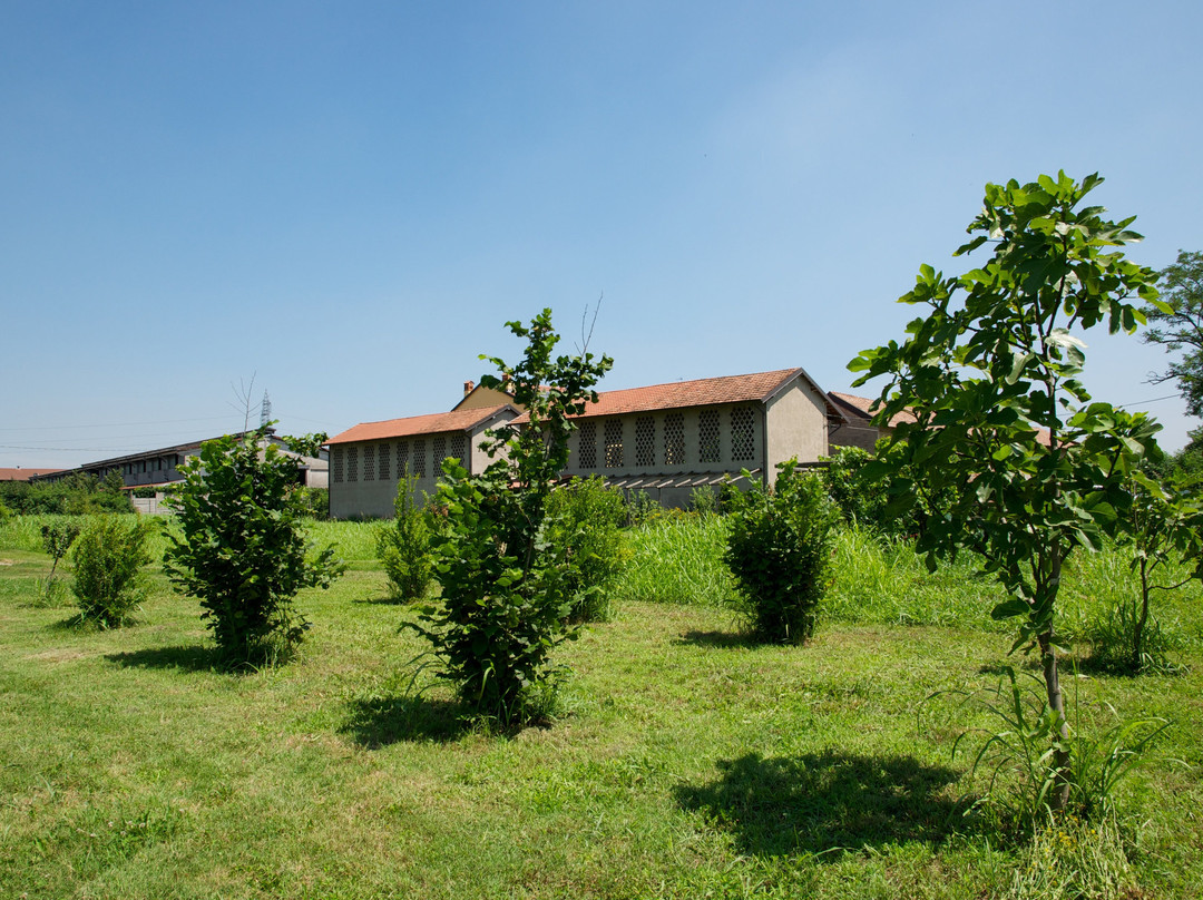 Bed and Breakfast Cascina delle Mele主图