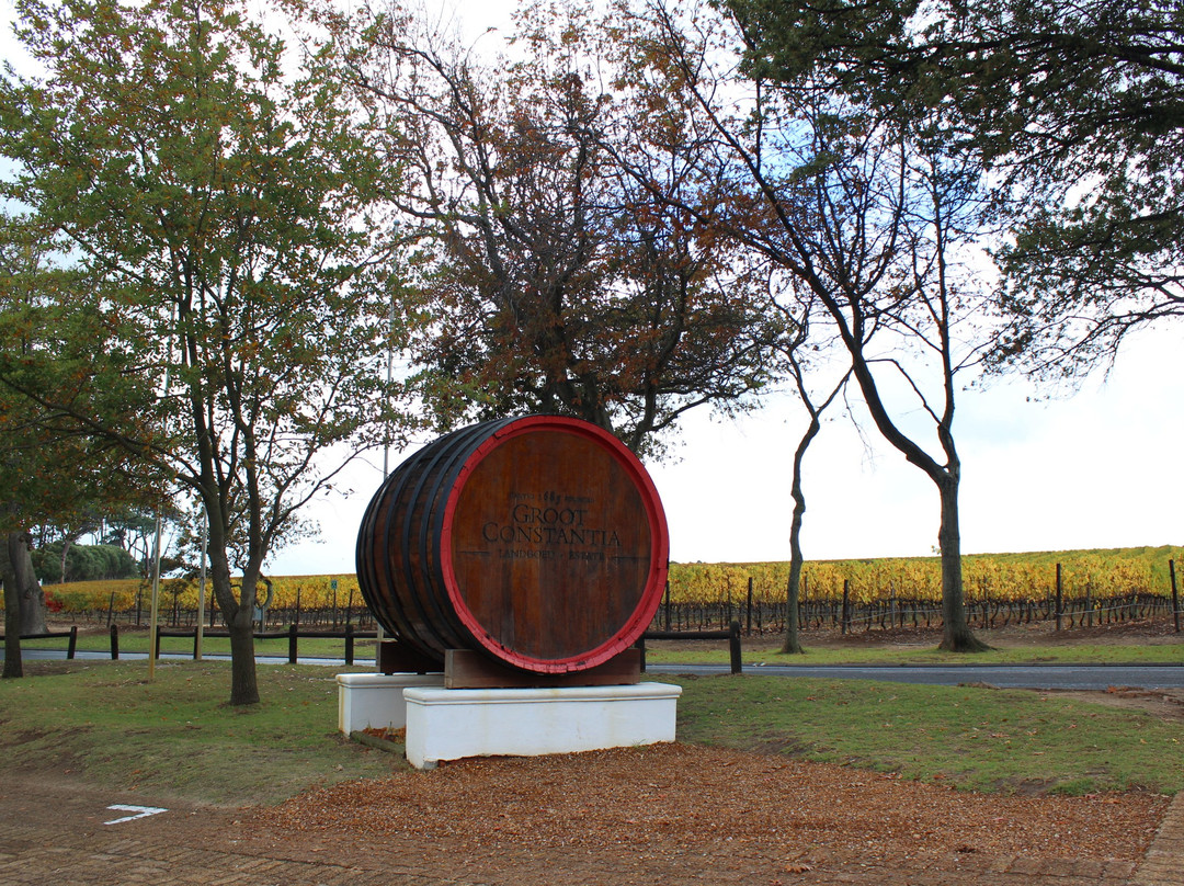 Morkel Travel & Tours-开普敦中心区必去景点