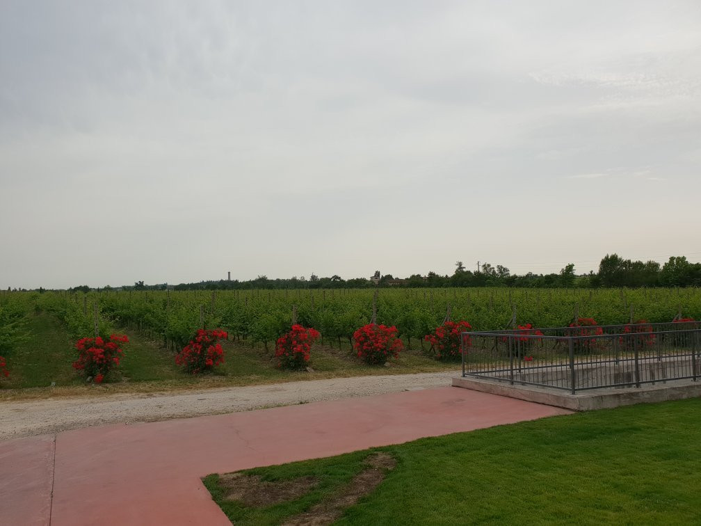 Azienda Agricola Sgreva景点图片