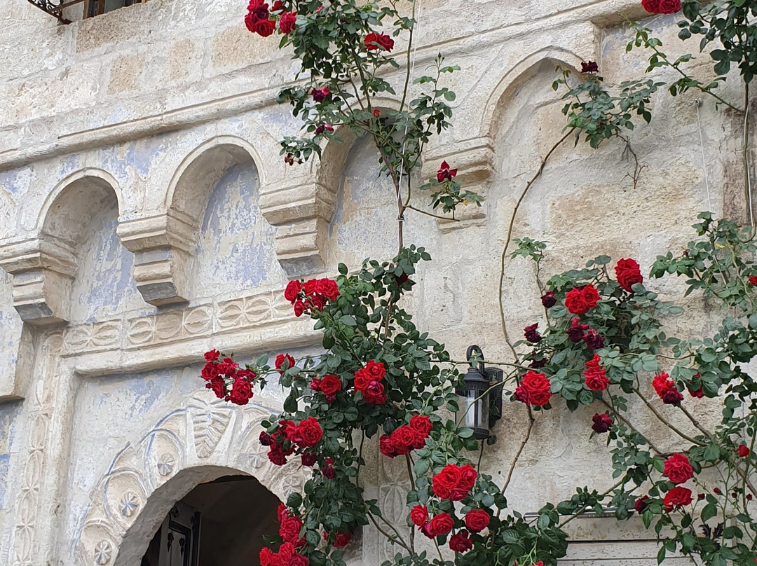 Magic Cave House主图