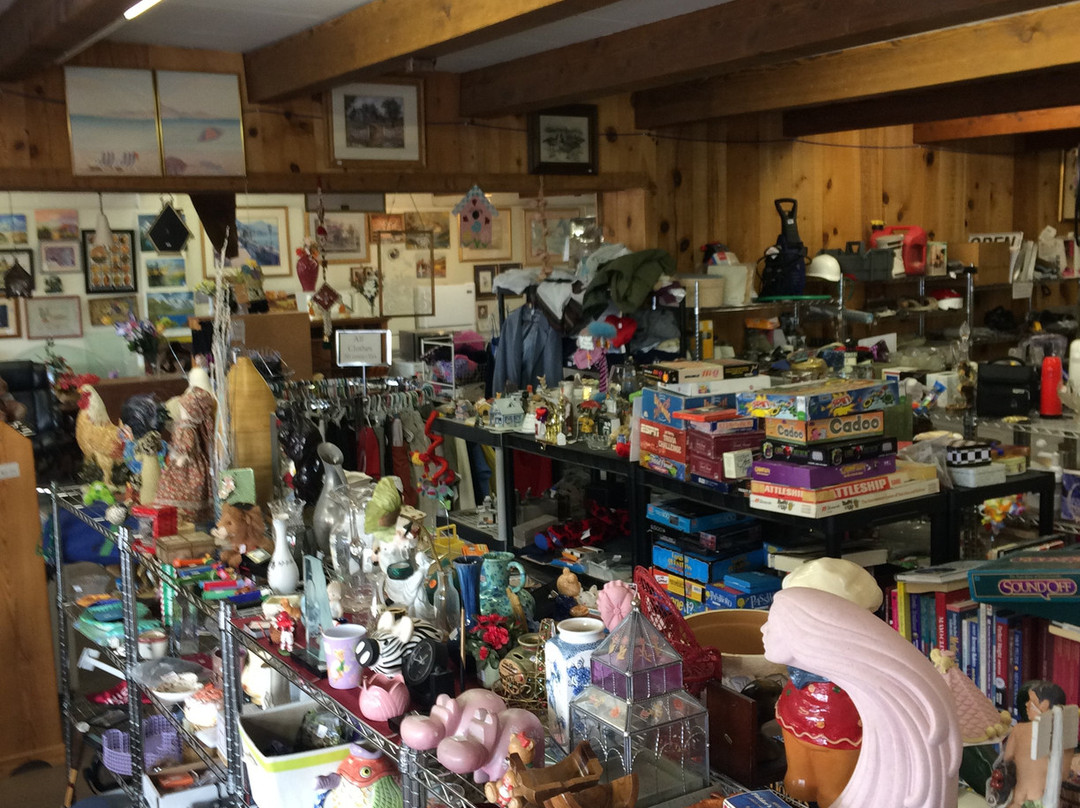 The Pony 2nd Hand Store-Wickenburg必去景点