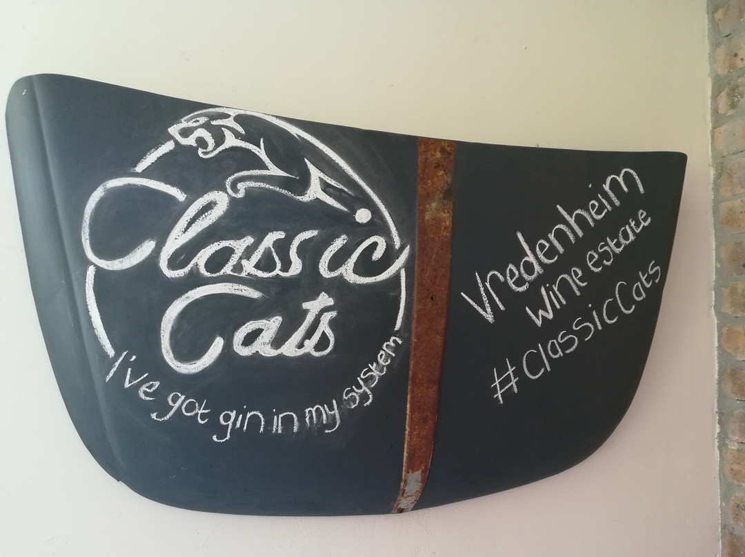 Classic Cats-斯泰伦博斯必去景点