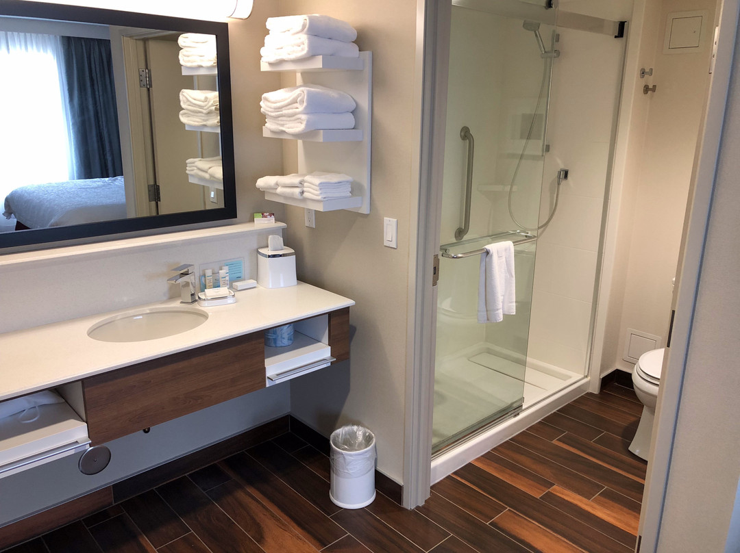 Hampton Inn & Suites by Hilton Medicine Hat主图